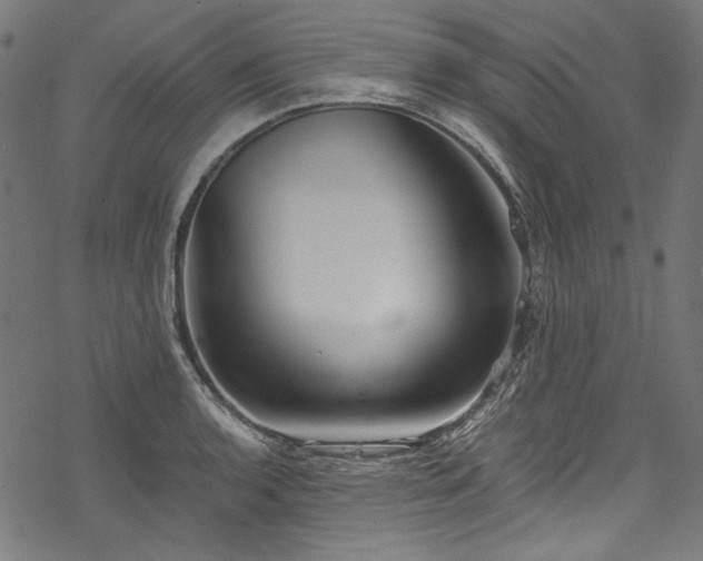 X0000078261136200611031156