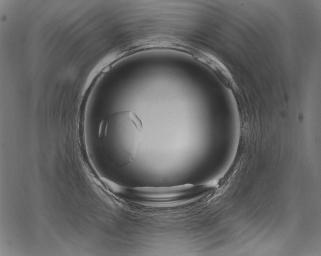 X0000078261146200611031156