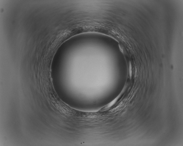 X0000078261153200611031155