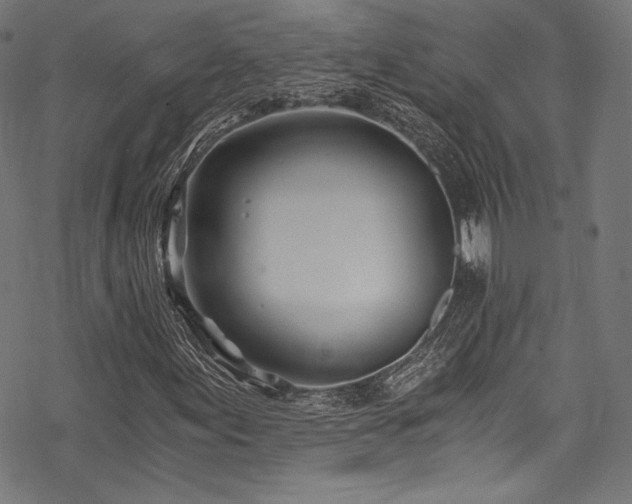 X0000078261155200611031155