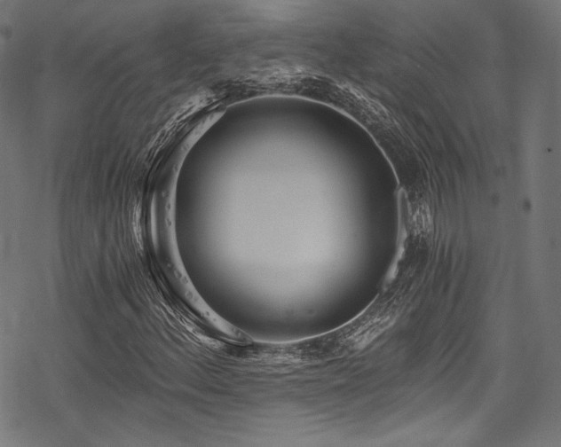 X0000078261156200611031155