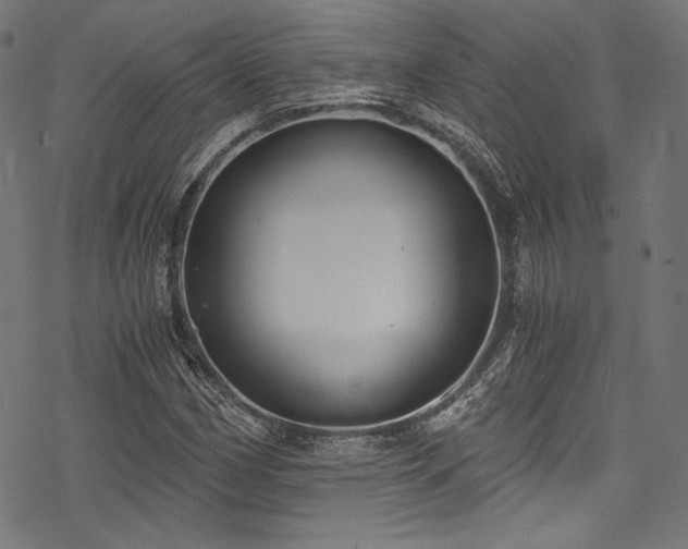 X0000078261162200611031155