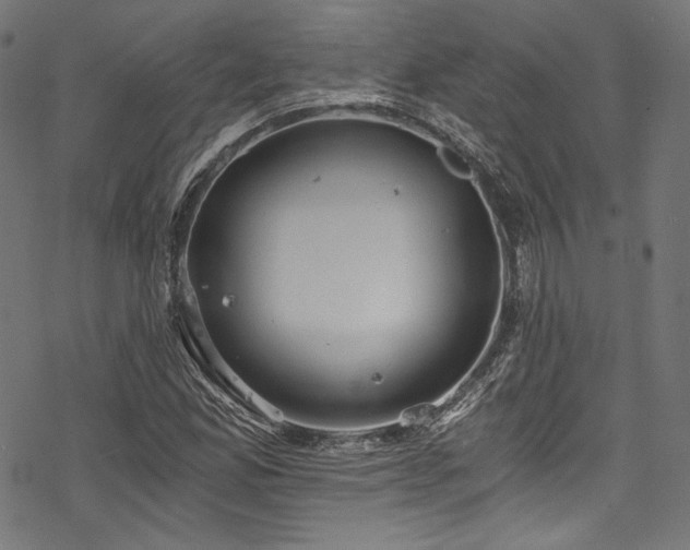 X0000078261165200611031155