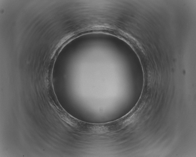 X0000078261170200611031155