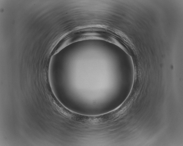 X0000078261177200611031155