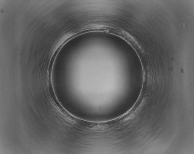 X0000078261178200611031155