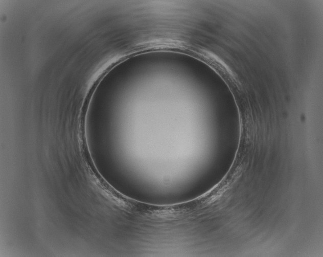X0000078261182200611031155