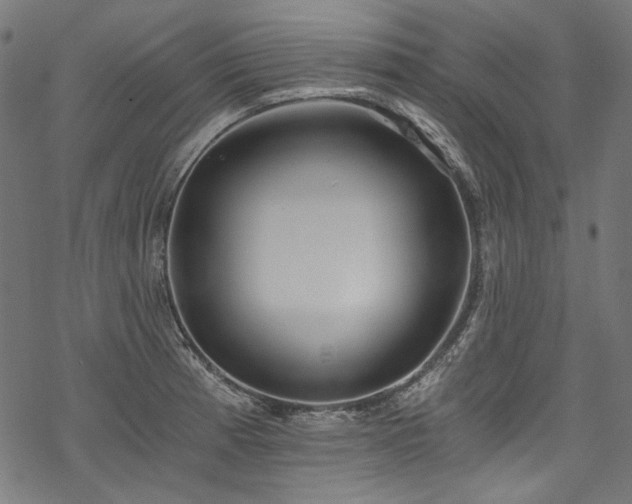 X0000078261185200611031155