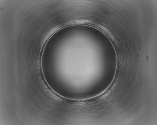 X0000078261186200611031155