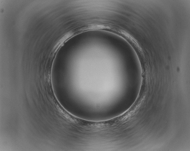 X0000078261193200611031155