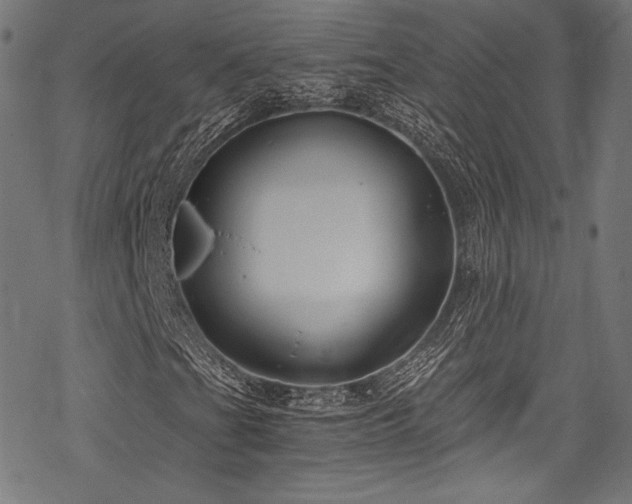 X0000078261201200611031154