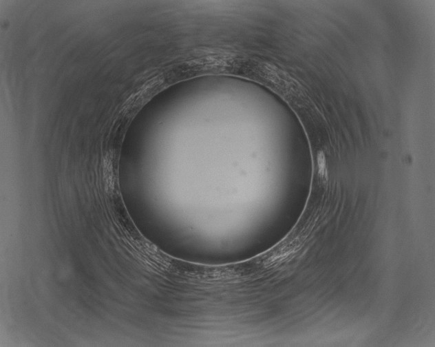 X0000078261203200611031154
