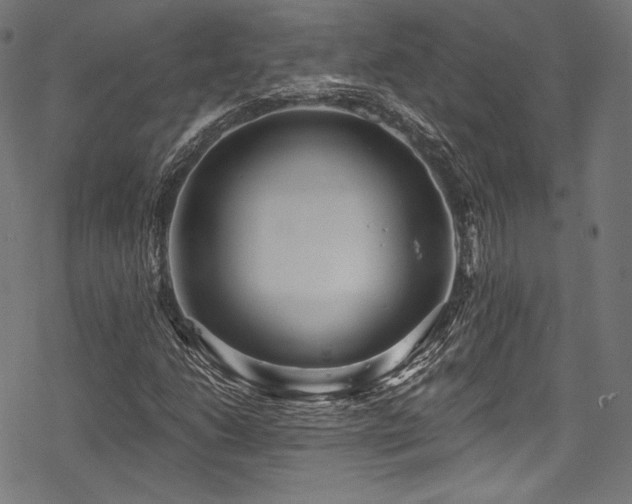 X0000078261206200611031154