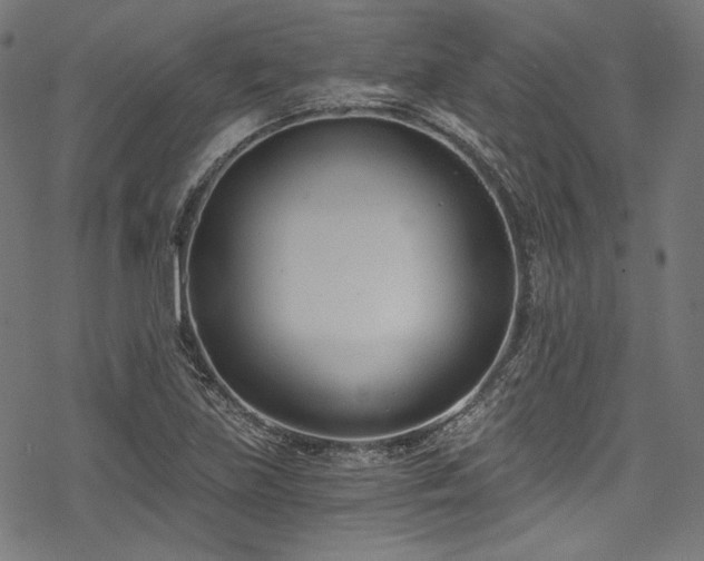 X0000078261219200611031154