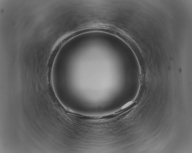 X0000078261222200611031154
