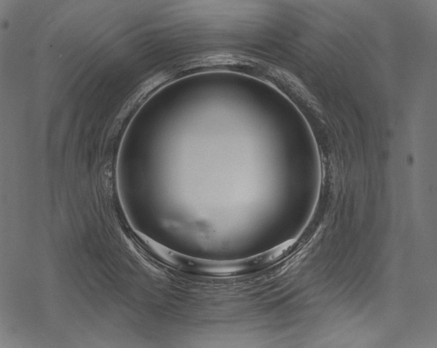 X0000078261225200611031154