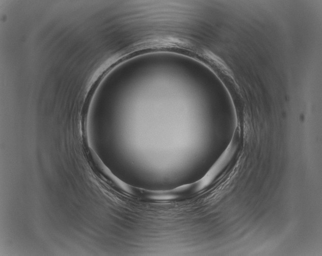X0000078261226200611031154