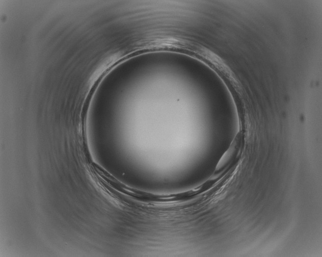 X0000078261234200611031154