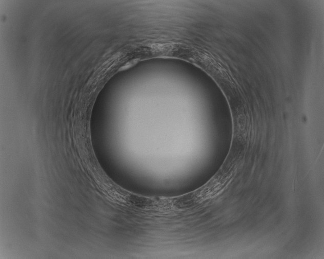X0000078261249200611031154