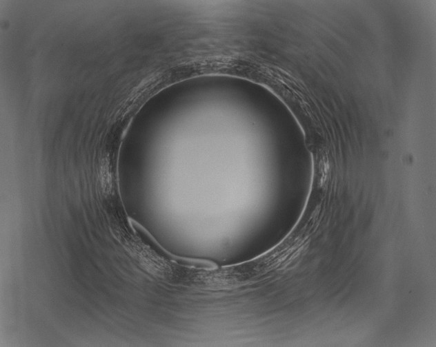 X0000078261252200611031154