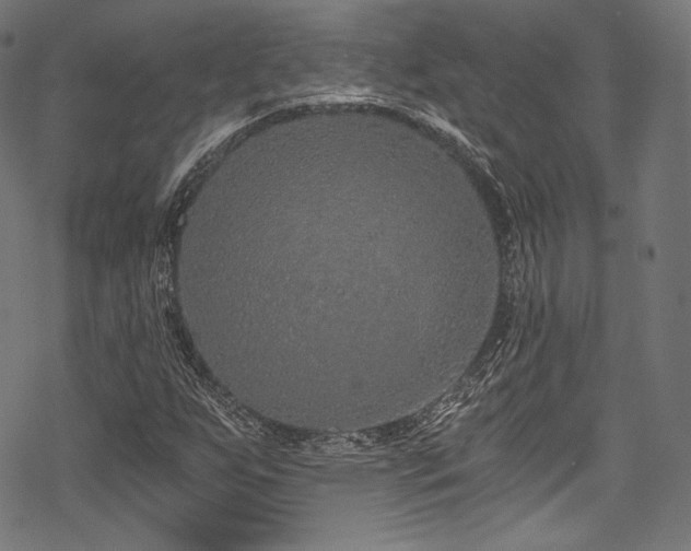 X0000078261255200611031154