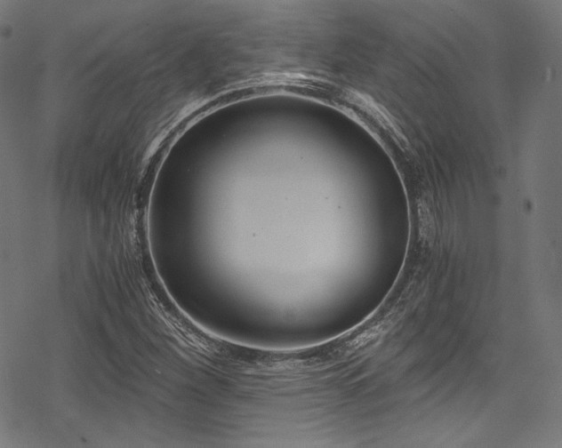 X0000078261260200611031153