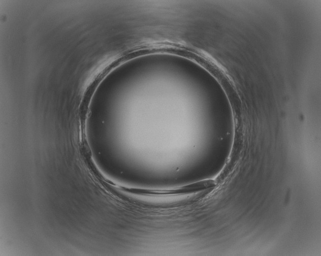 X0000078261269200611031153