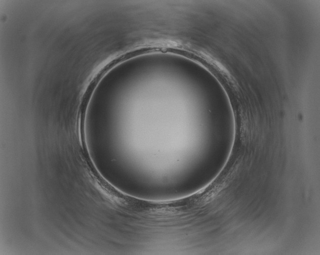 X0000078261272200611031153