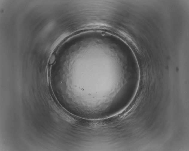 X0000078261275200611031153