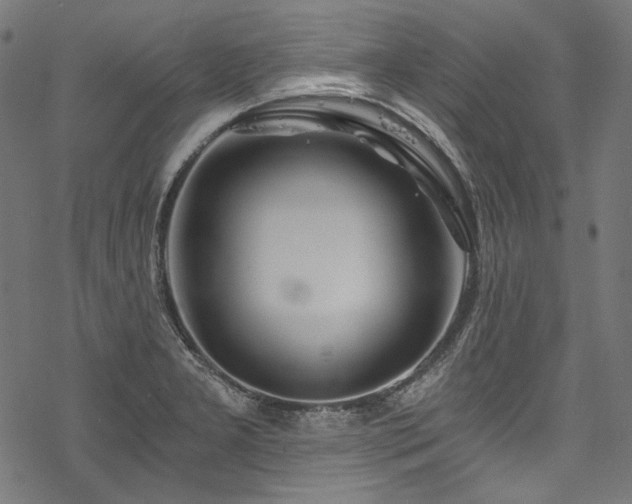 X0000078261277200611031153
