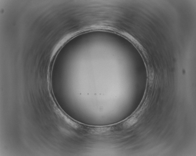 X0000078261294200611031153