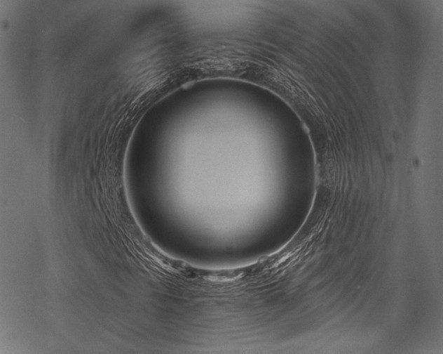 X0000078261297200611031152