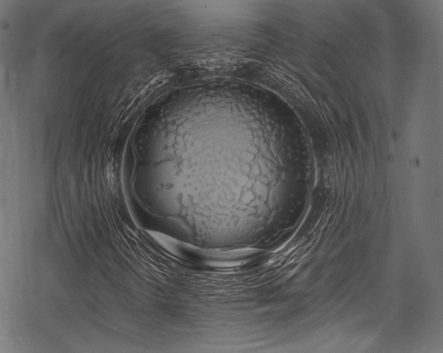 X0000078261298200611031152