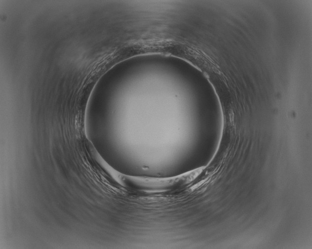 X0000078261300200611031152