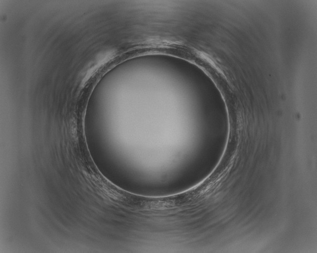 X0000078261307200611031152