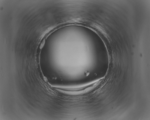 X0000078261308200611031152