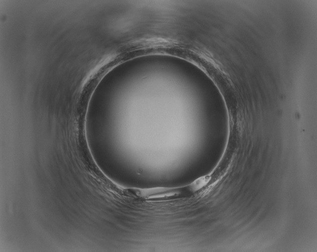 X0000078261309200611031152