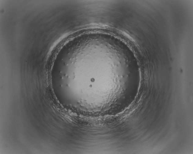 X0000078261310200611031152