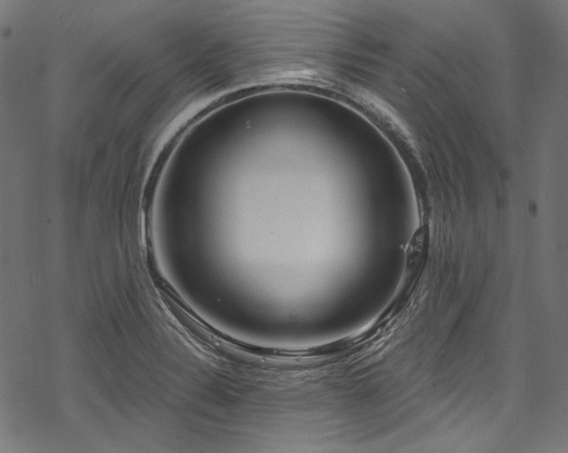 X0000078261324200611031153