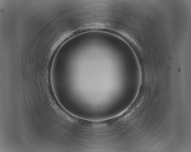 X0000078261325200611031153