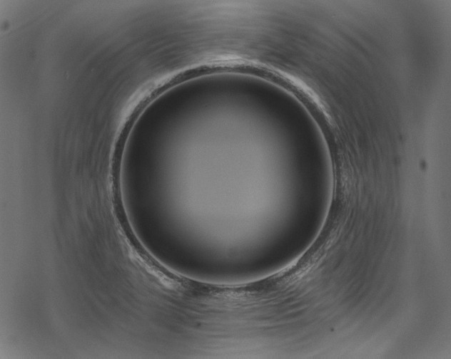 X0000078261327200611031153