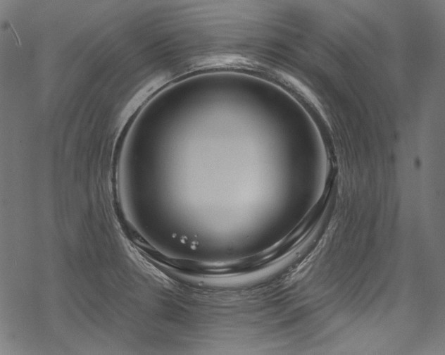 X0000078261330200611031153