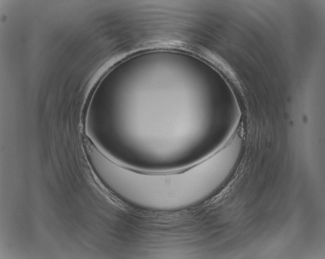 X0000078261332200611031153