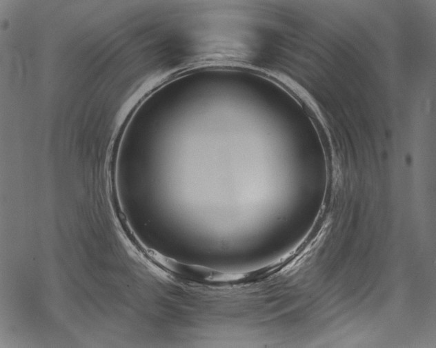 X0000078261341200611031153