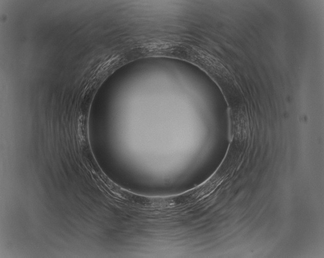 X0000078261346200611031152