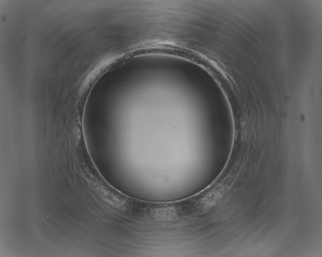 X0000078261363200611031152