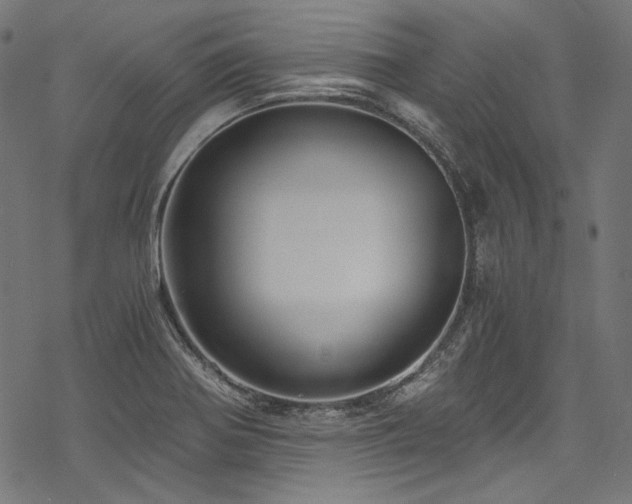X0000078261370200611031152