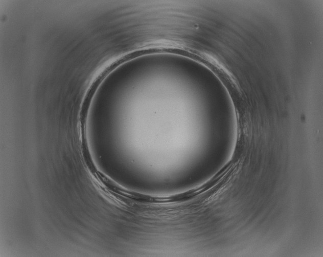 X0000078261372200611031152
