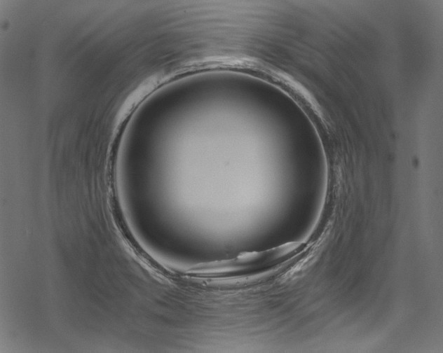 X0000078261373200611031152