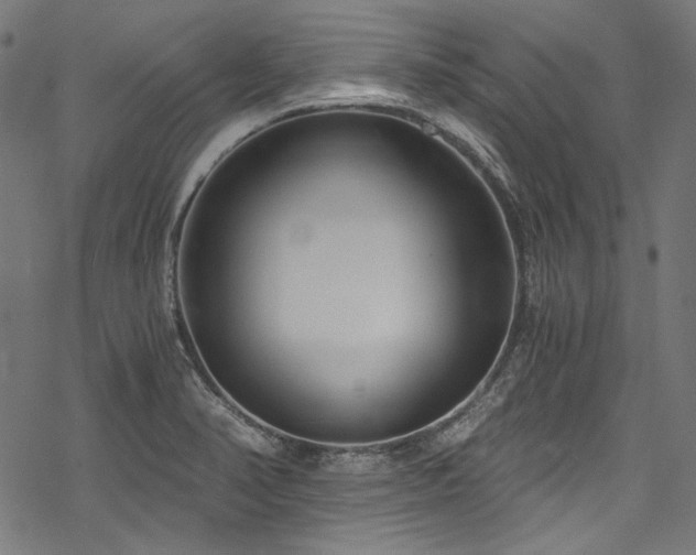 X0000078261374200611031152